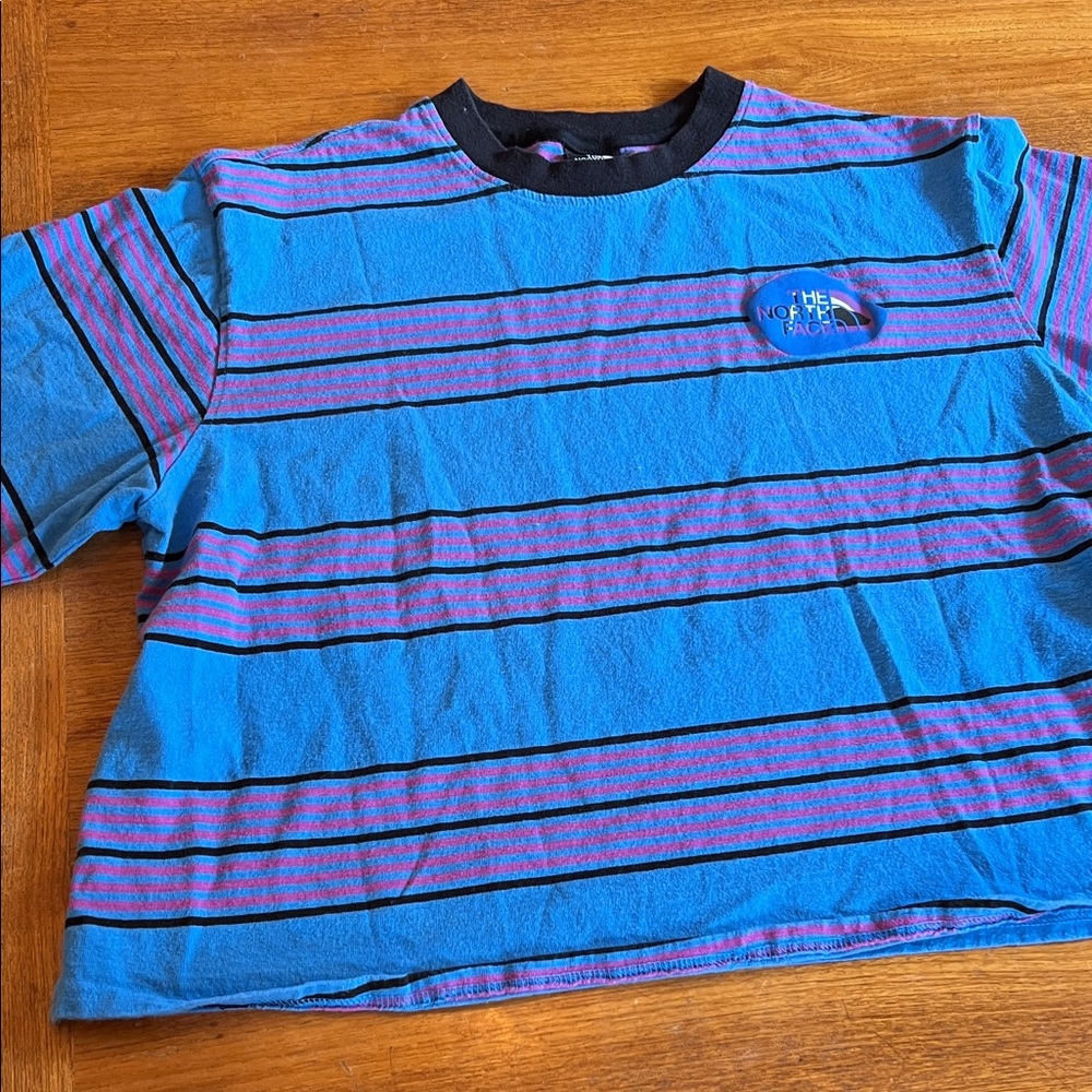 The North Face Vibrant Blue and Pink Striped Tee